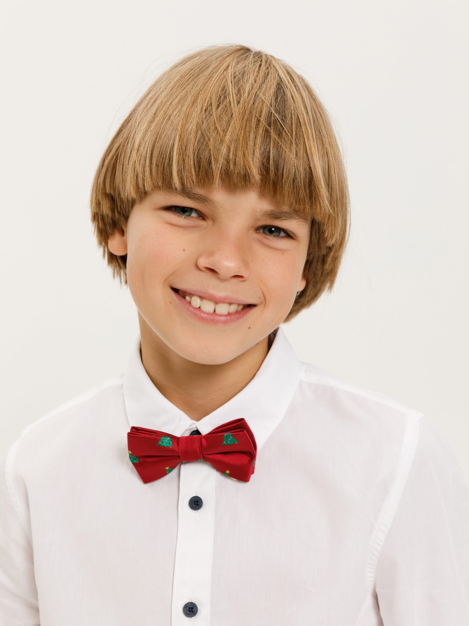 галстук-бабочка для мальчиков, фото - 4