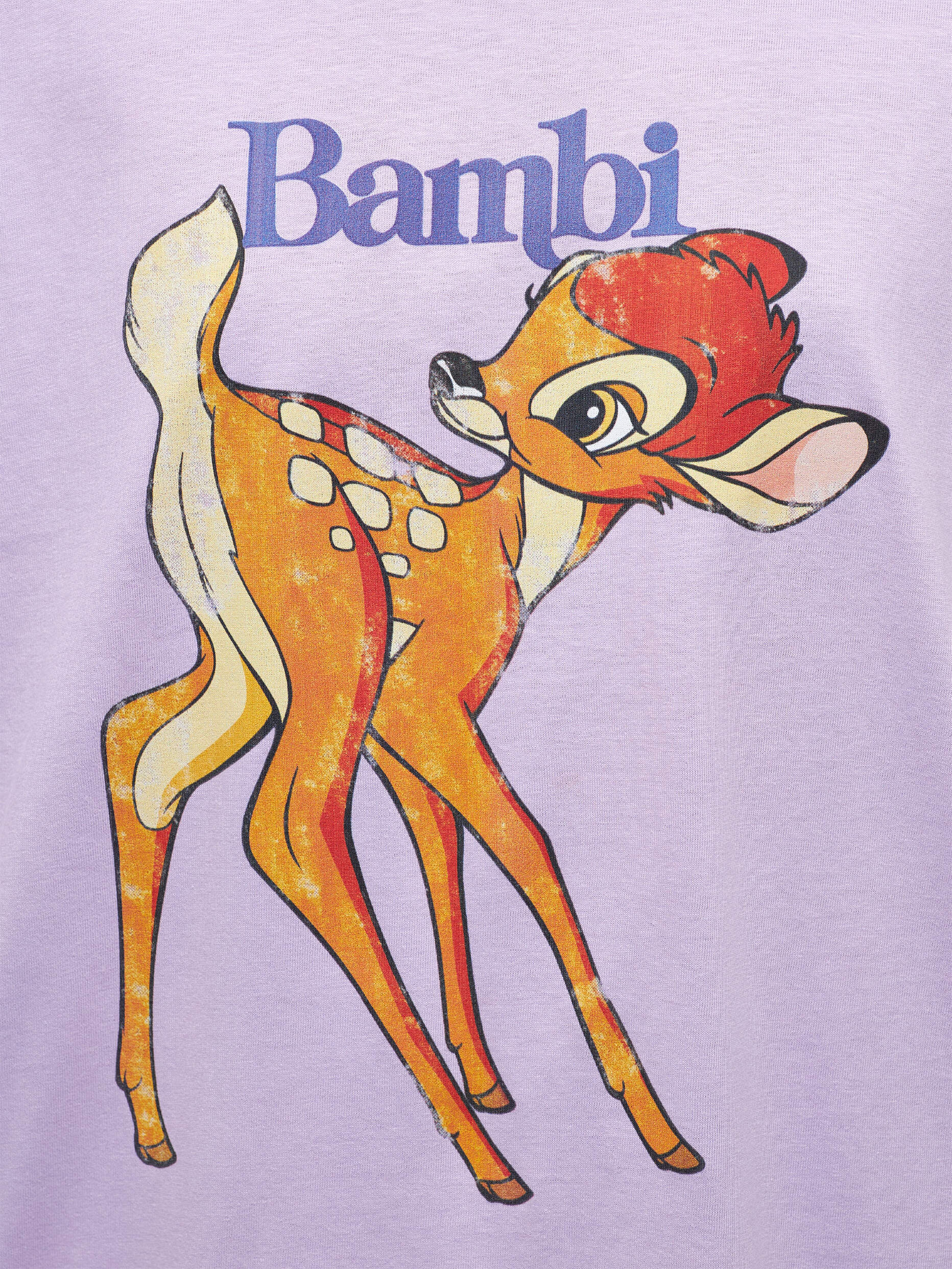 Bambi Webcam